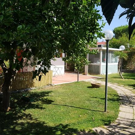 B&B Albaluna Valenzano Esterno foto