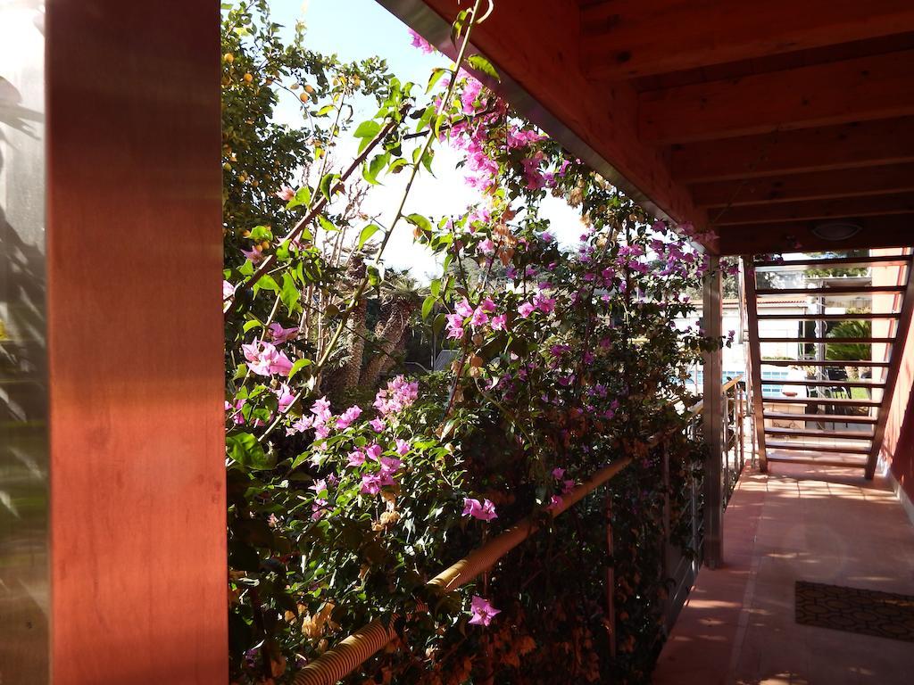 B&B Albaluna Valenzano Esterno foto